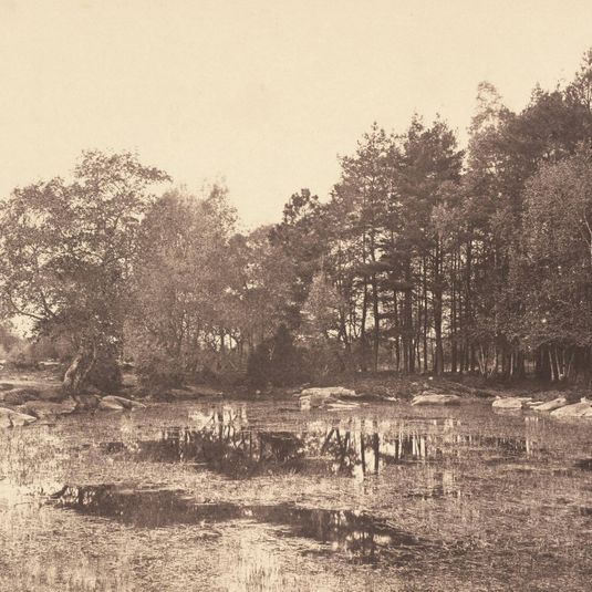 Marsh at Piat (Belle-Croix Plateau)