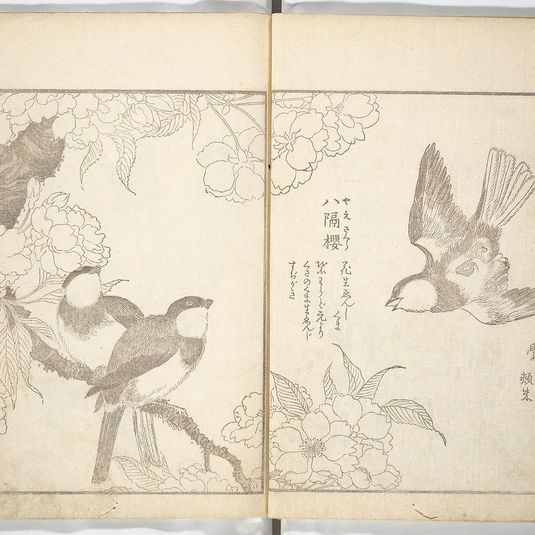 True Depictions of Bird and Flower Pictures (Kachōe shashin zue)