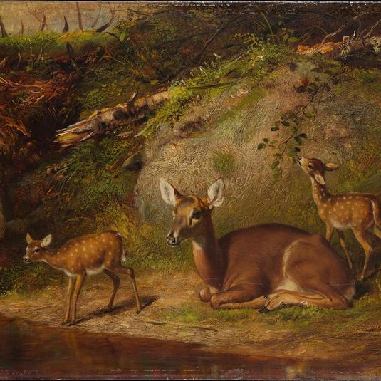 Doe and Two Fawns