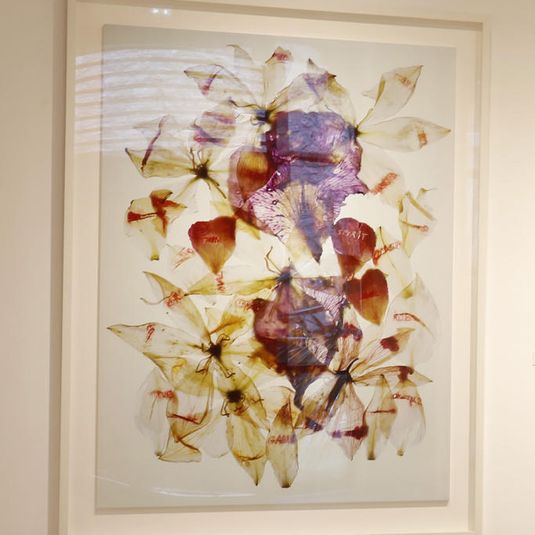 Hommage à Blaschka. Iris, rose et yuka