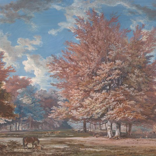 View in a Park