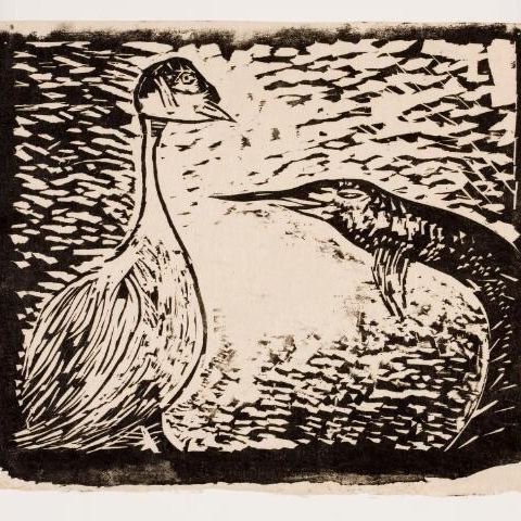 Gans en vis