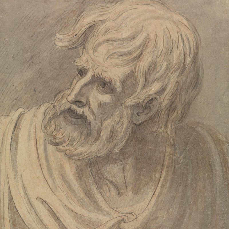 Head of a Man with a Beard Looking to the Left