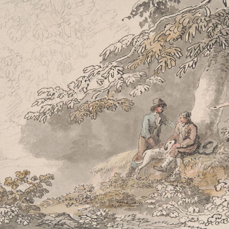 Two Boys and a Dog in a Wood