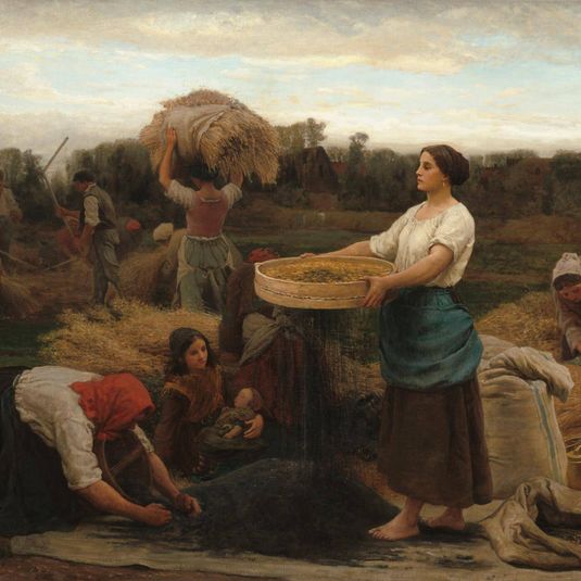 The Colza (Harvesting Rapeseed)