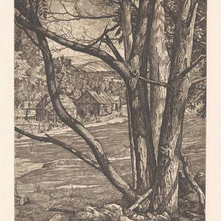 Tree Rhythm