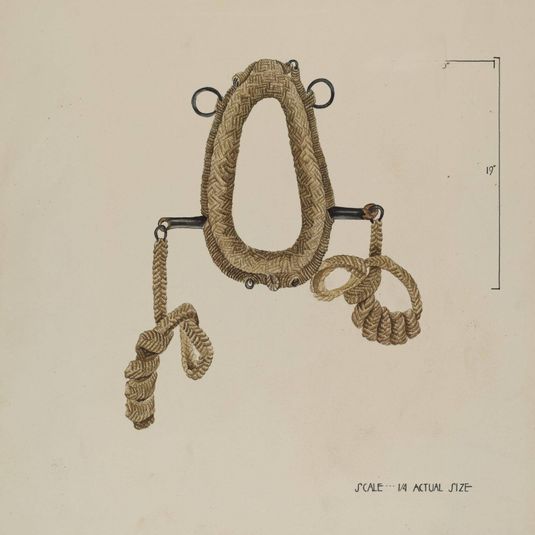 Collar For Burro
