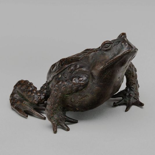 A Toad