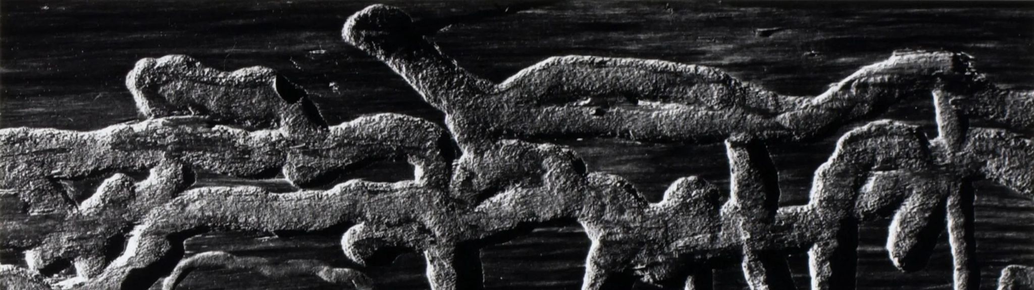 Untitled (Wormwood)