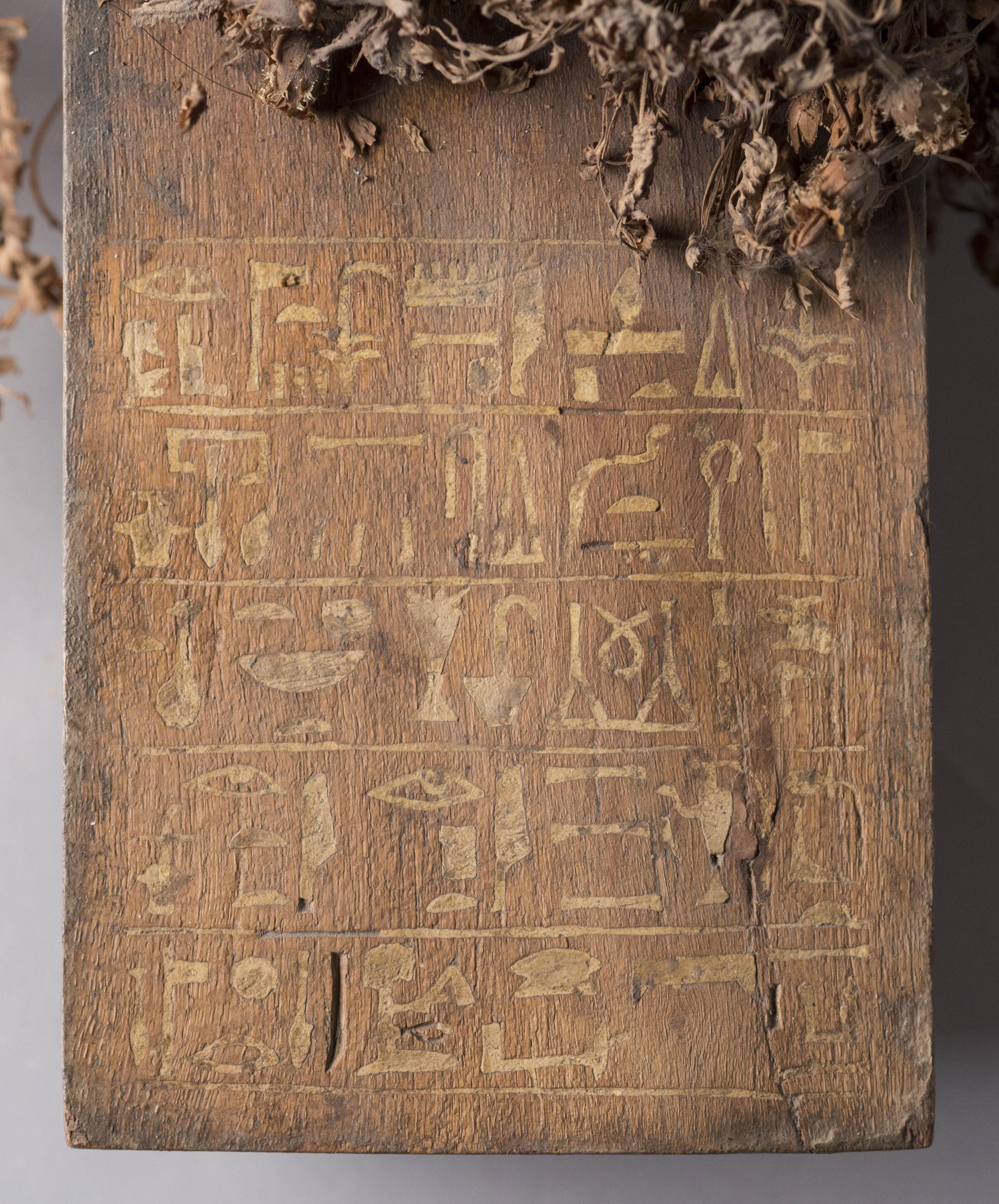Object Image