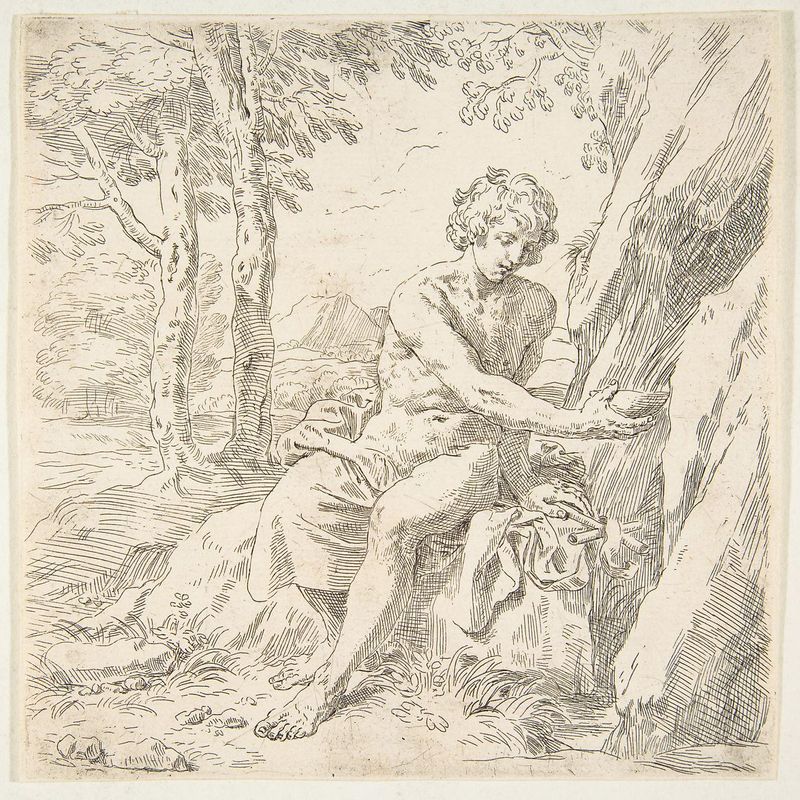Saint John the Baptist in the desert