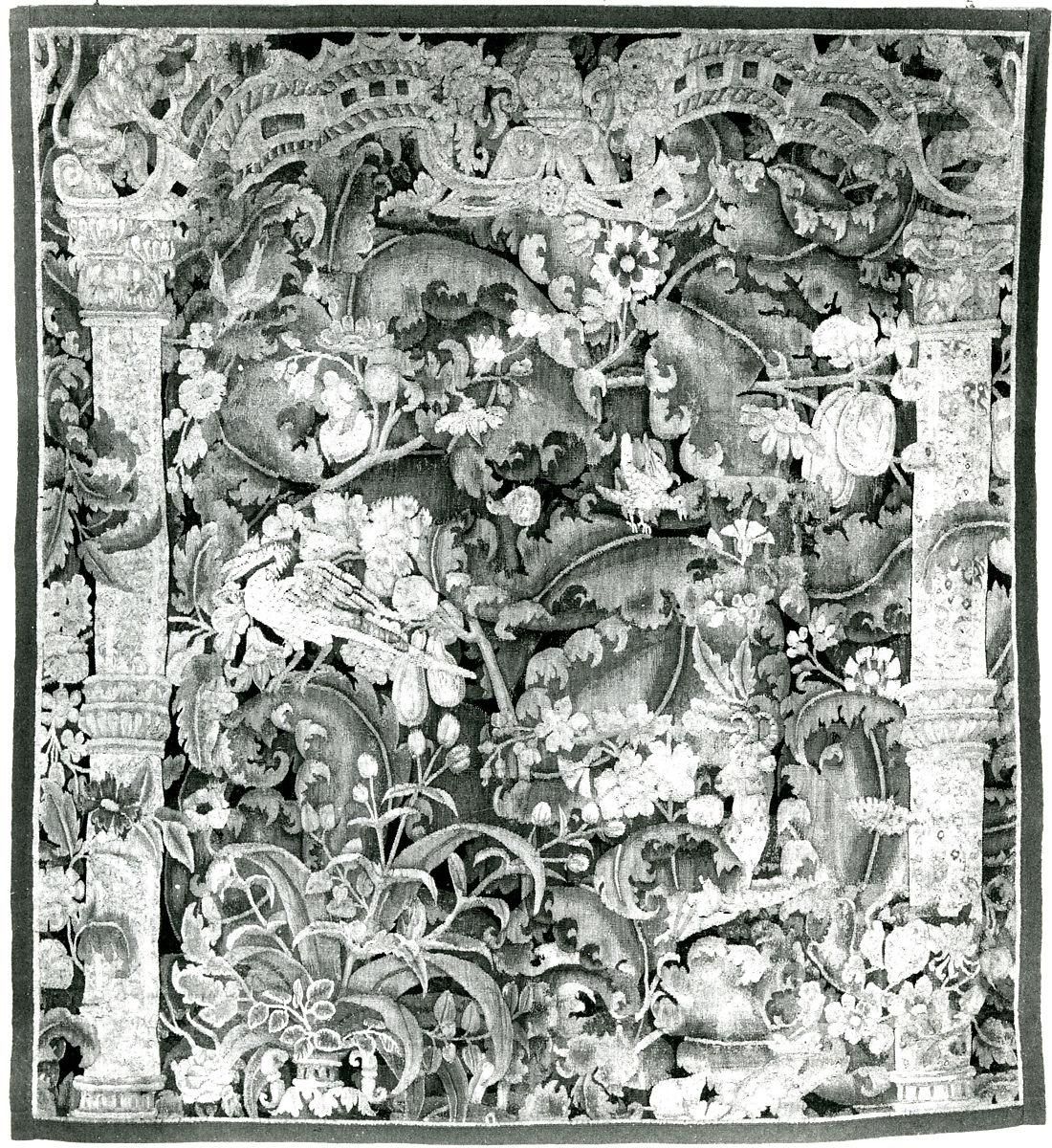 Object Image