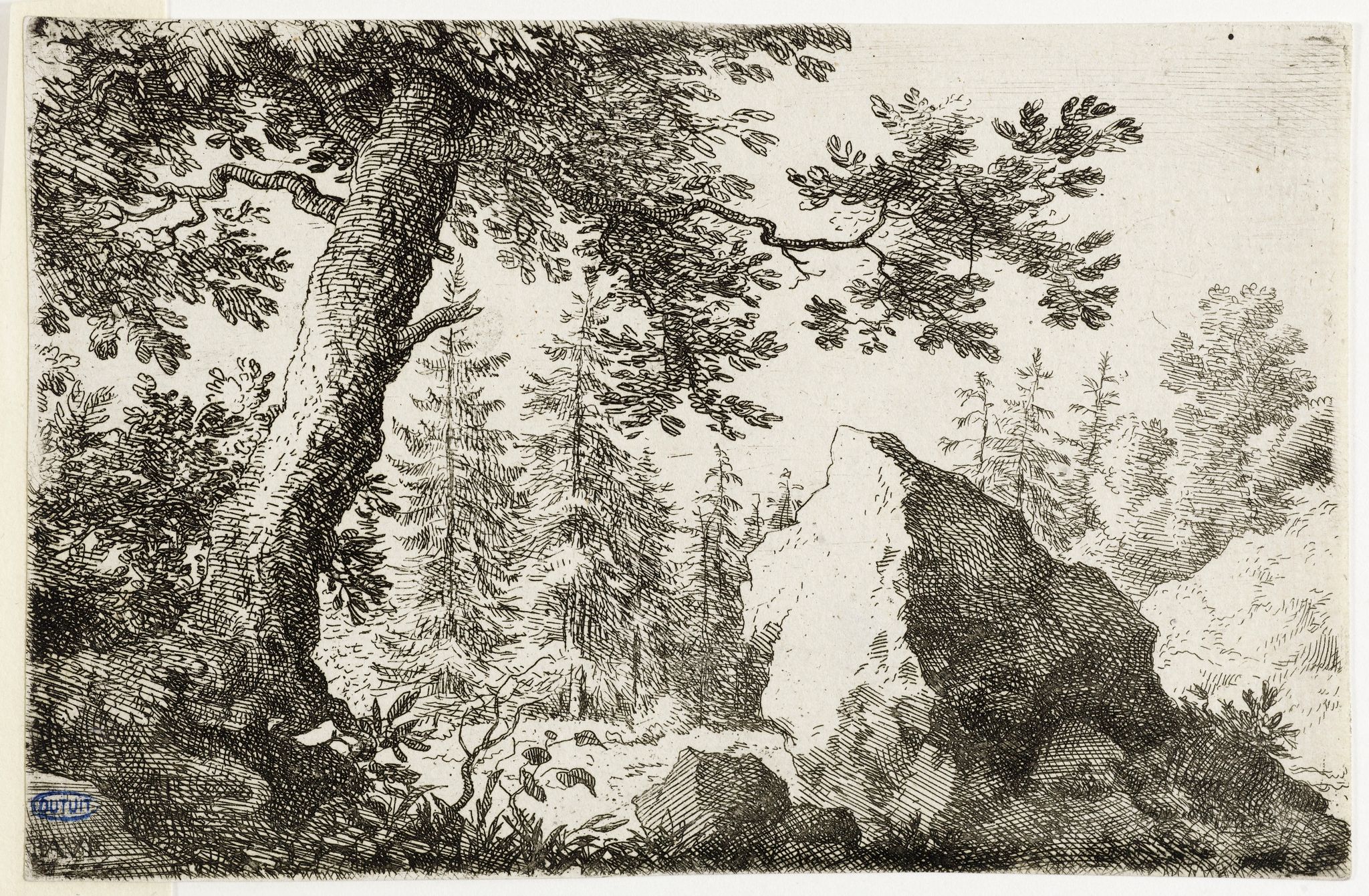 Object Image