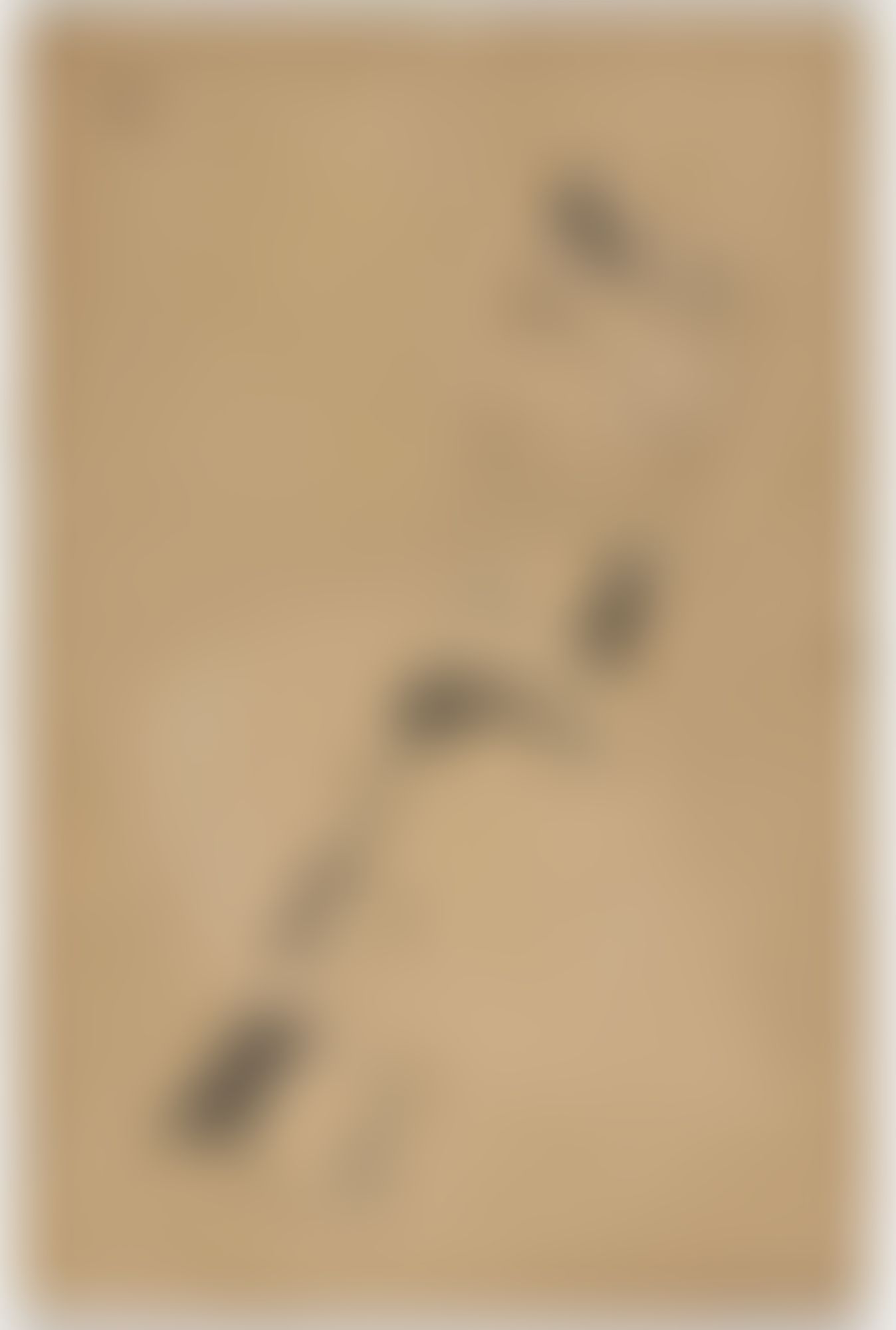 Object Image