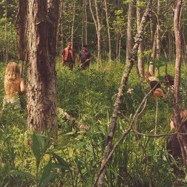 Wild Things