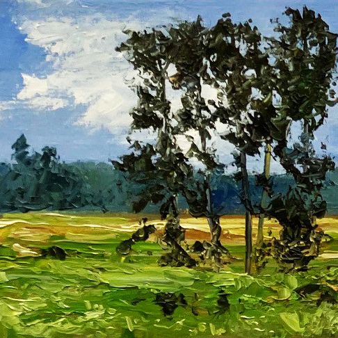 Shawnee Study #1