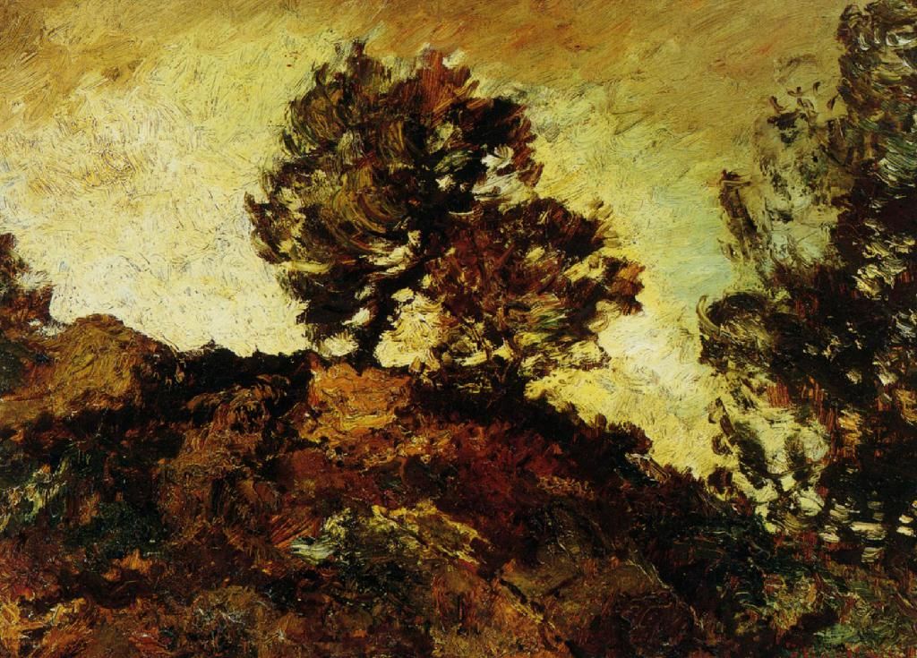 Object Image