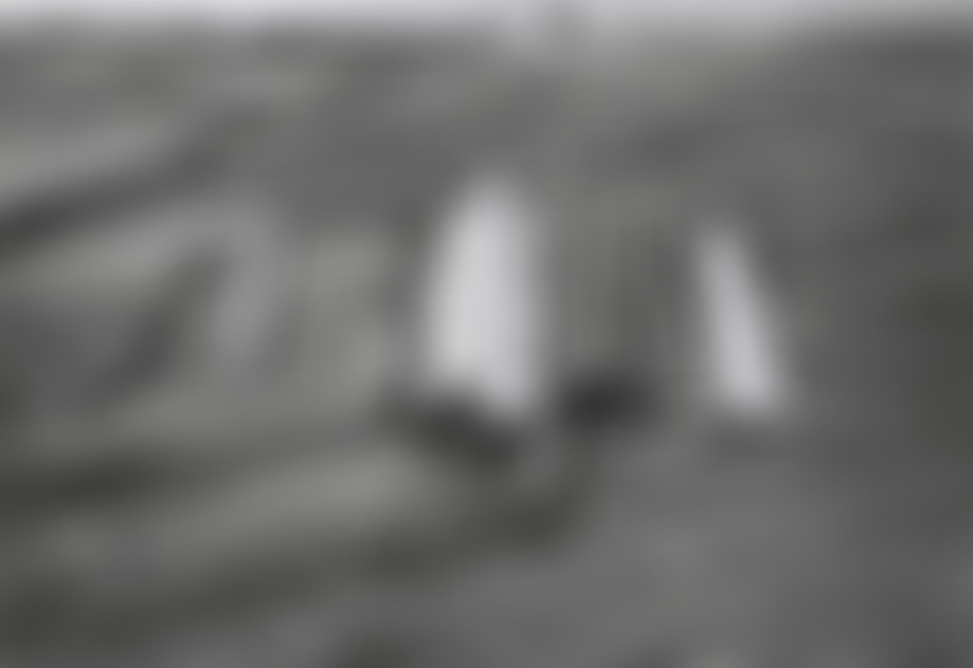 Object Image