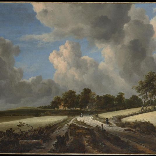 Wheat Fields