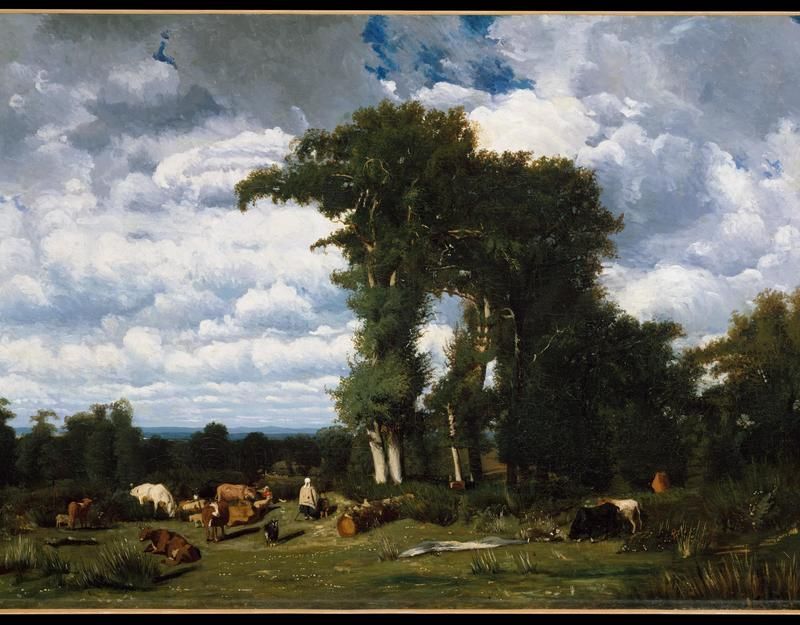 Landscape with Cattle at Limousin