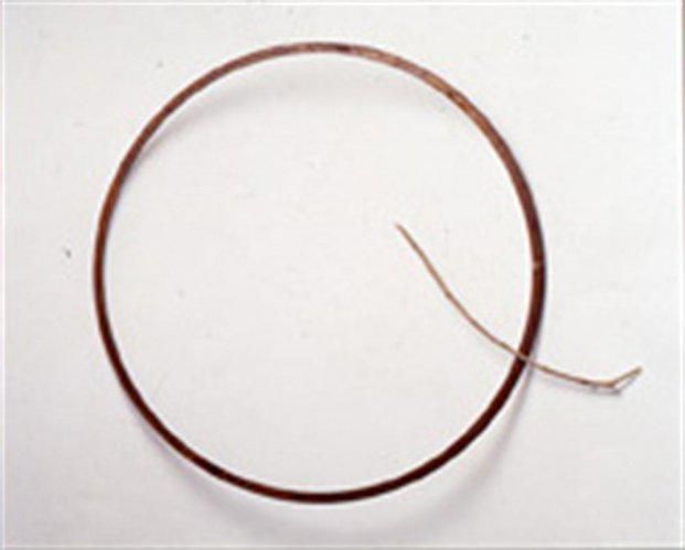 Object Image