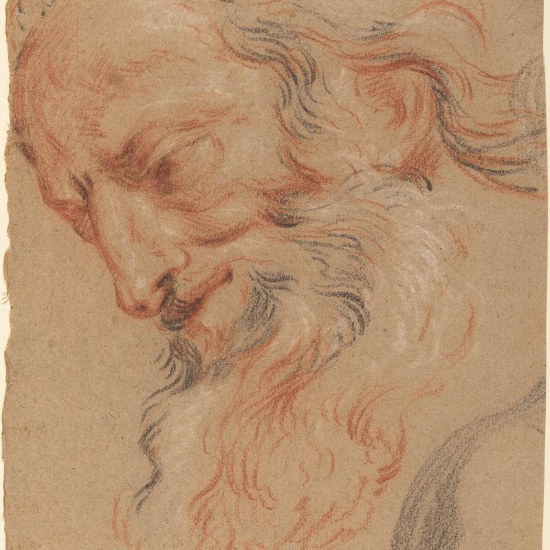 Head of an Old Man