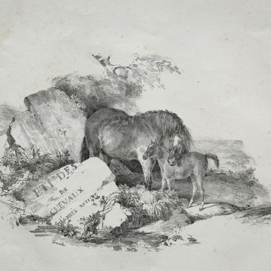 The Mare and Her Foal