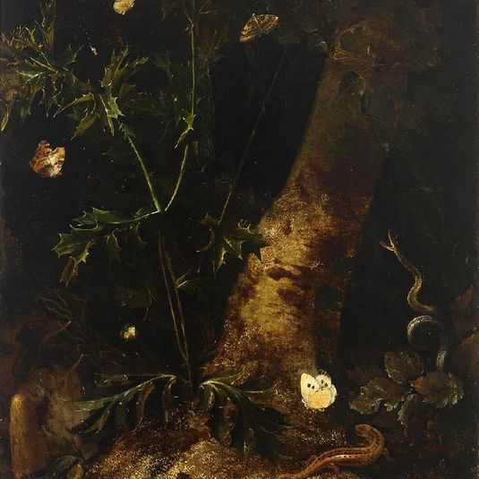 A Forest Floor Still Life with a Salamander, Snake and Various Butterflies Around a Thistle