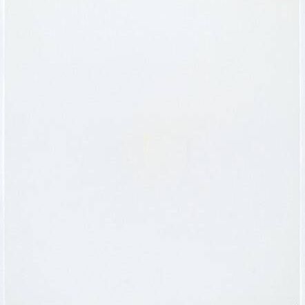 Stains: Glue (Wilhold Glu-bird)