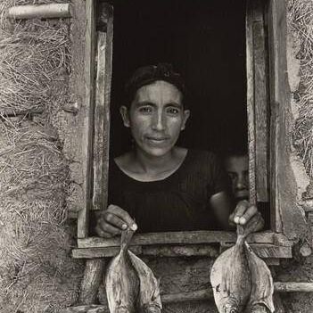 Cuatro Pescaditos (Four Little Fish)