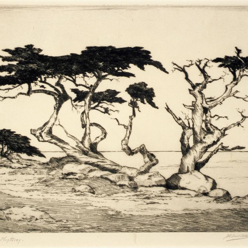Cypress, Monterey