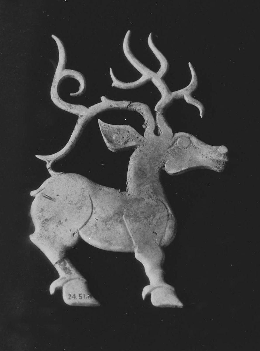 Object Image