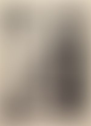 Object Image