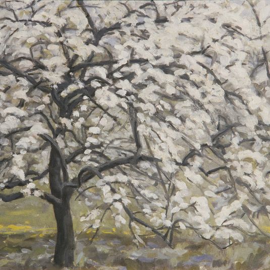 Fruit Trees in Bloom