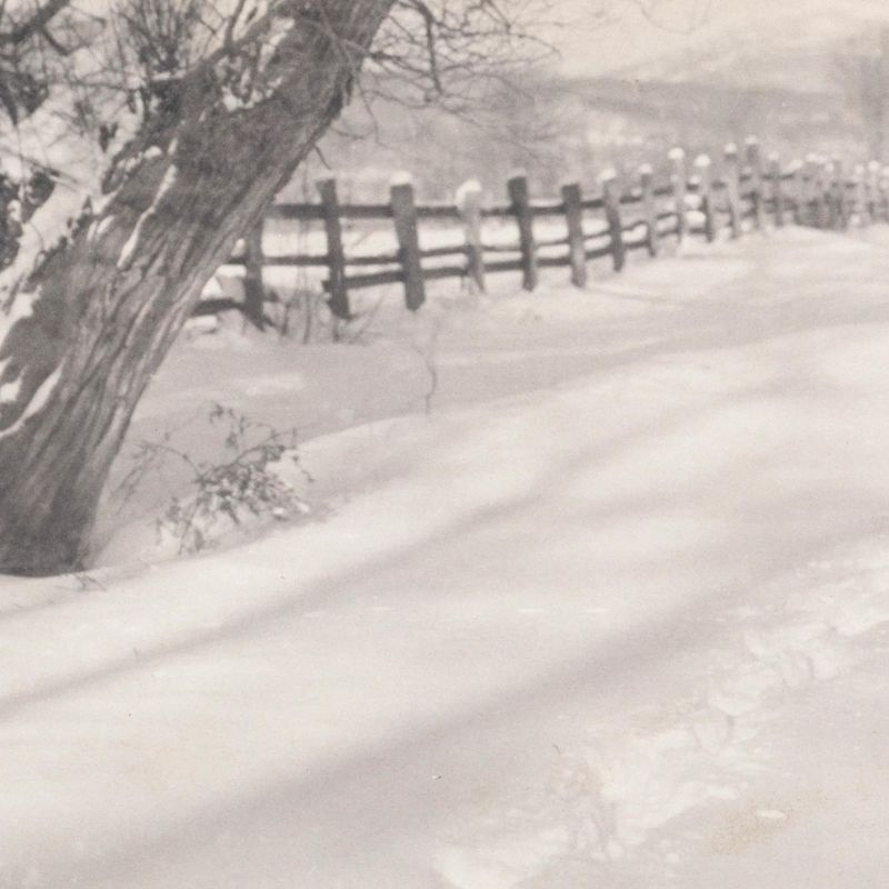 Path in the Snow