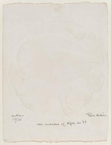 Object Image