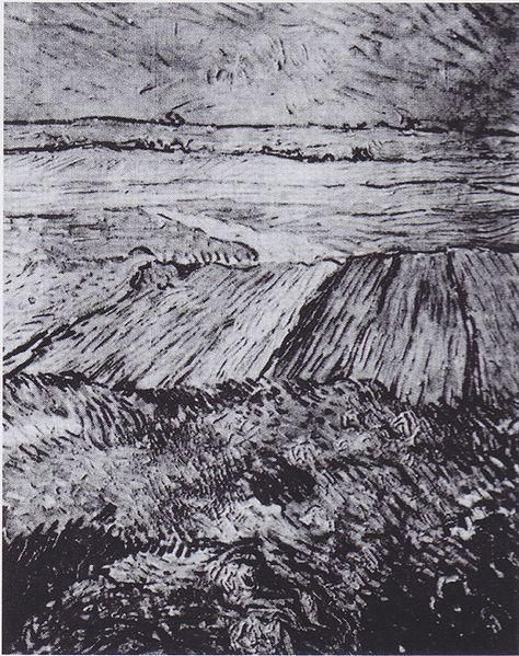 Object Image