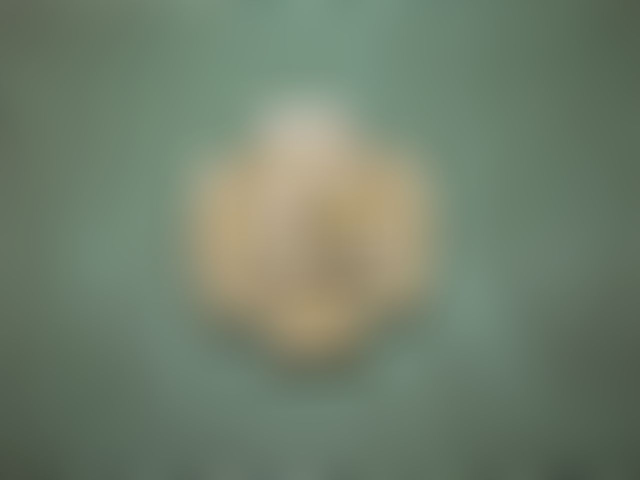 Object Image