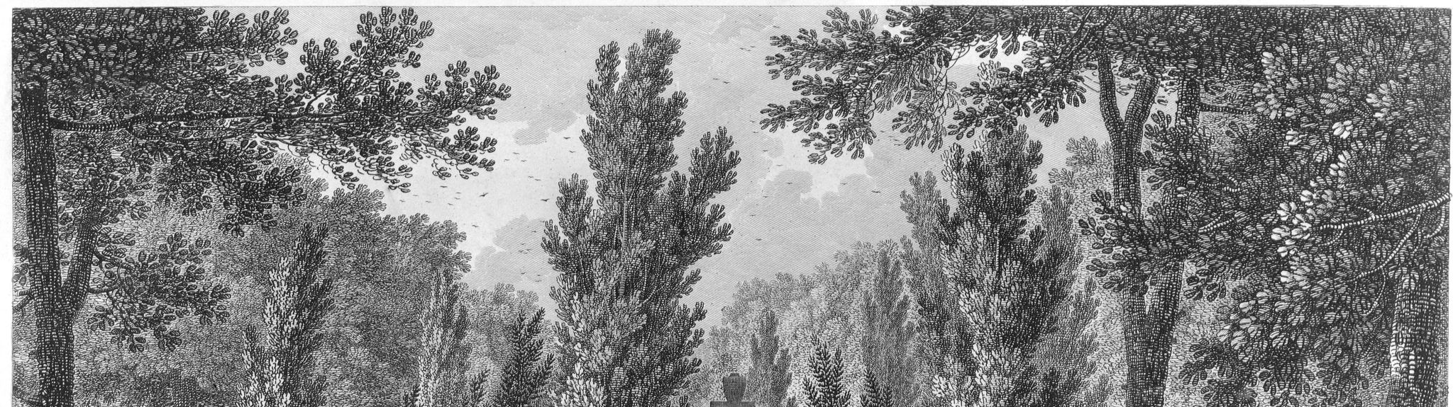 Tombeau de Jean-Paul Marat dans le jardin des Cordeliers, juillet 1793, actuel jardin du Luxembourg, 6ème arrondissement. Révolution française