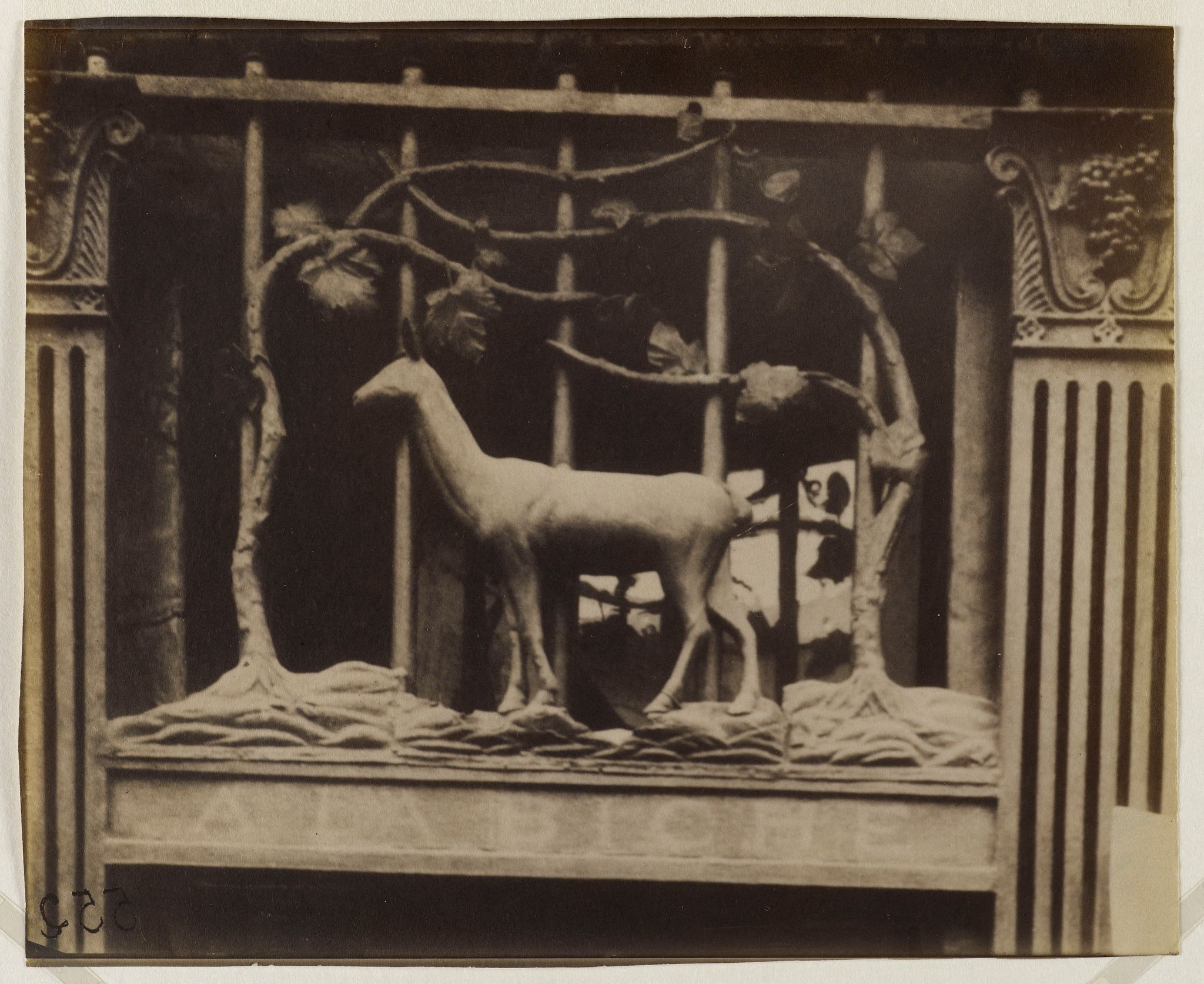 Object Image