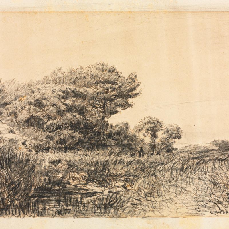 Edge of Marsh at Couronne