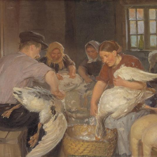 Plucking the Geese