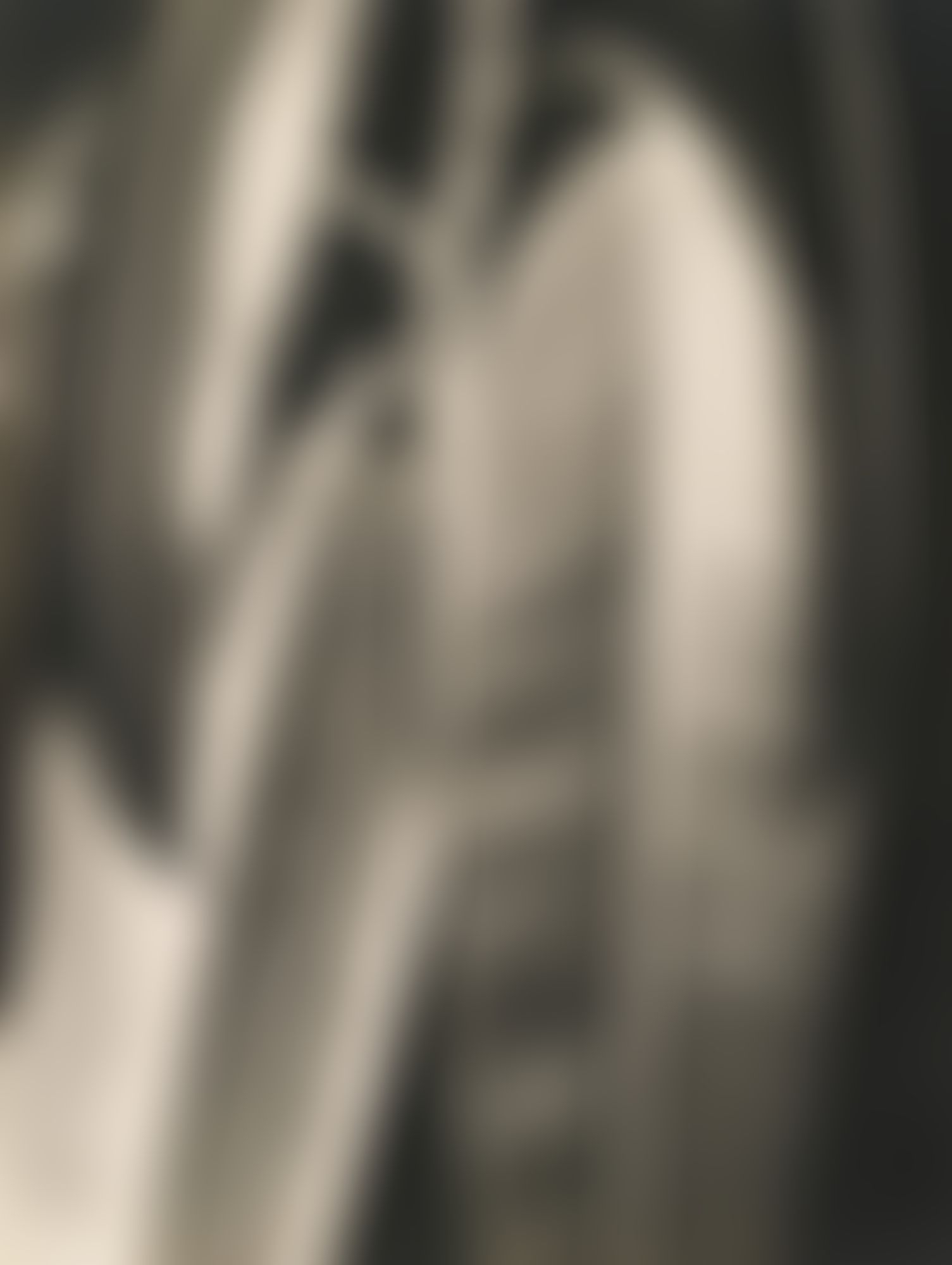 Object Image