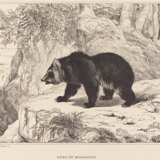 Mississippi Bear