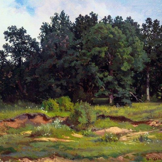 Oak Wood in a Gray Day
