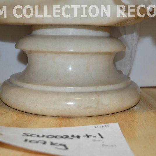 Socle