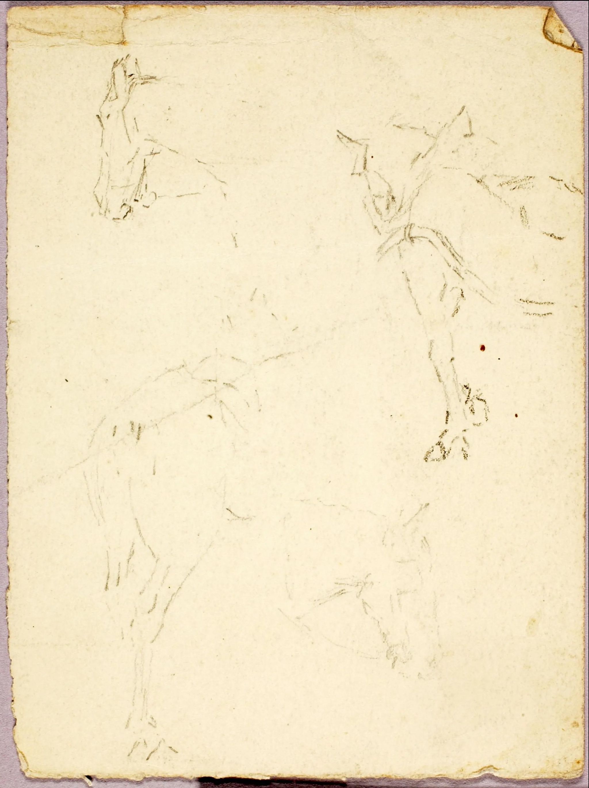 Object Image