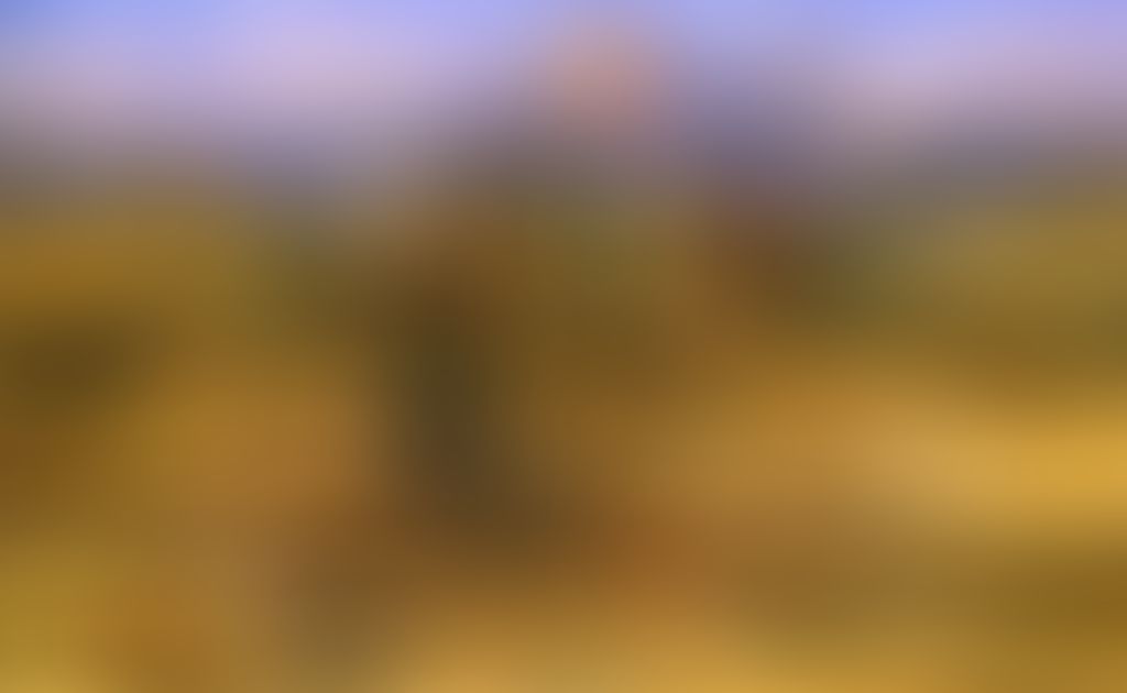 Object Image