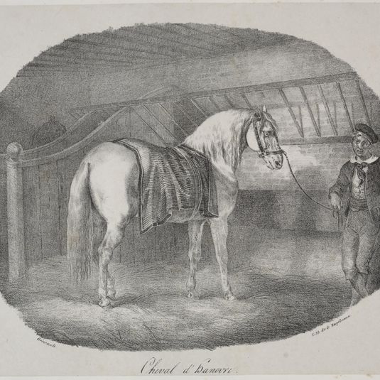 Horse from Hanover