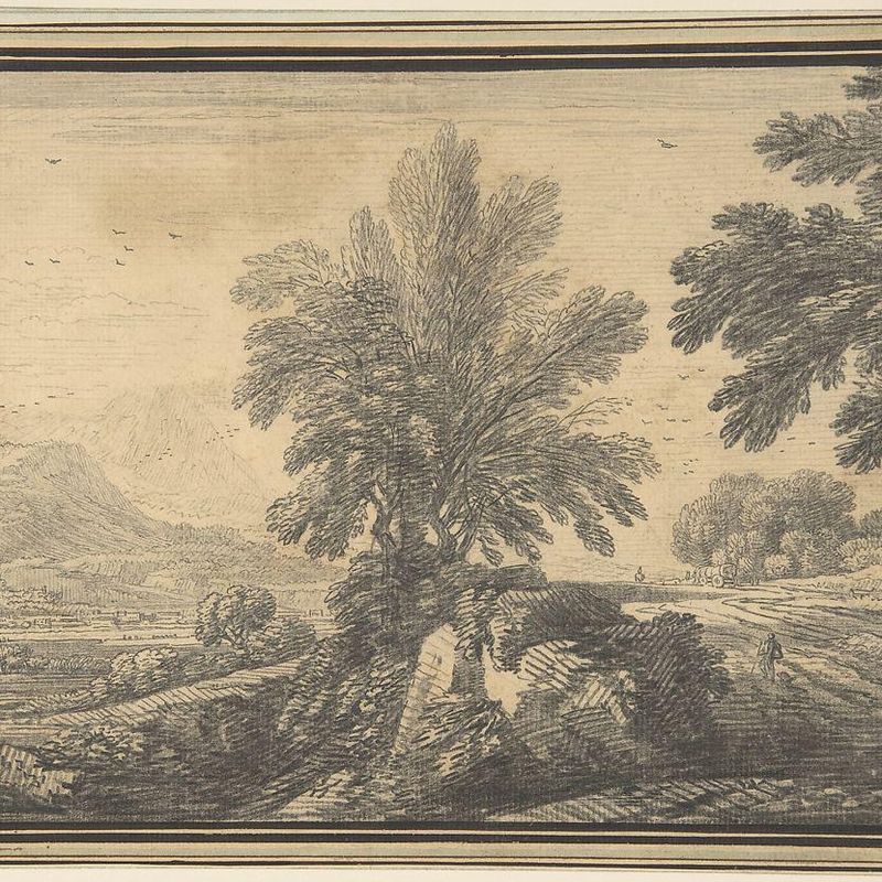 Landscape